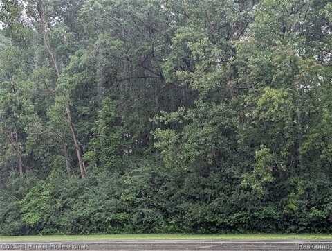 3.4.5 Alpine Valley, Mancelona, MI 49659