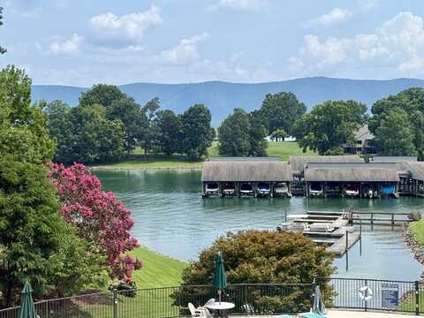 290 Sailors Cove DR, Moneta, VA 24121