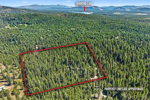 372 Spring Hill Rd, Newport, WA 99156