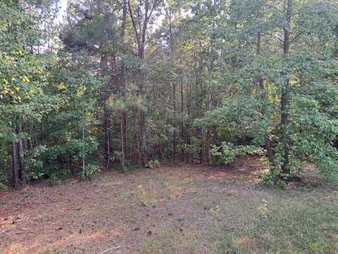 1001 Robinson Road, Ridgeway, SC 29130