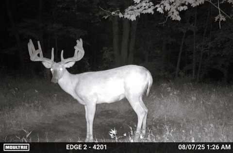 149 Ac M/L County X, Soldiers Grove, WI 54655
