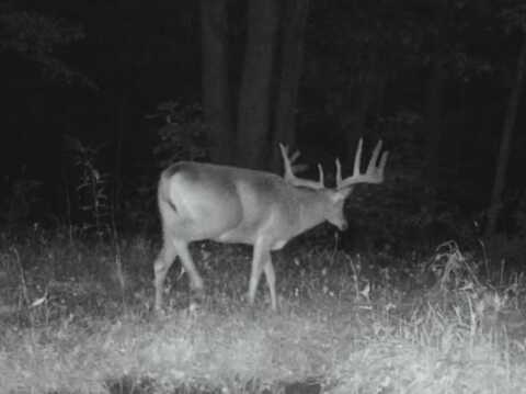 149 Ac M/L County X, Soldiers Grove, WI 54655