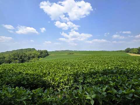 149 Ac M/L County X, Soldiers Grove, WI 54655