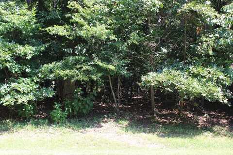 1851 MUTINY DR, GREENBACKVILLE, VA 23356