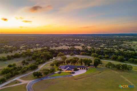 170 Goose Landing Way, Harper, TX 78631