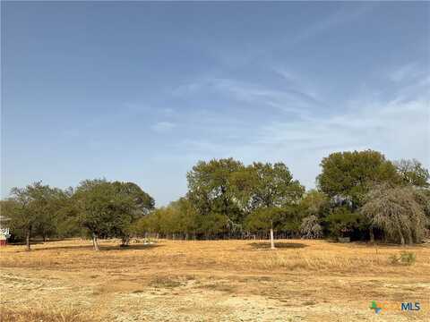 1700 County Road 219, Briggs, TX 78608