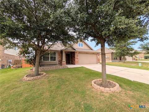 1809 Logan Trail, New Braunfels, TX 78130