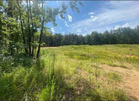 tbd Saint Paul Rd, Columbia, MS 39443