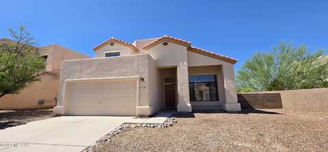149 N Understory Lane, Tucson, AZ 85748