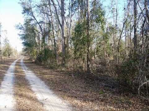 NE Cedar Trail, Pinetta, FL 32350