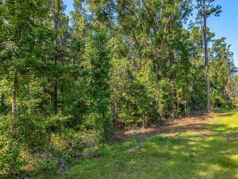 635 Quail Lane, Monticello, FL 32344