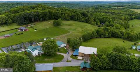 2431 SYLVIS, CHERRY TREE, PA 15724