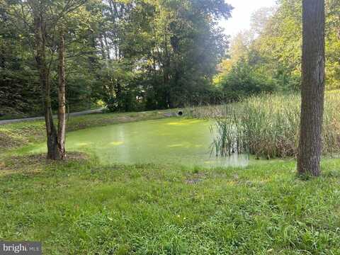 967 WINCHESTER STREET, PAW PAW, WV 25434