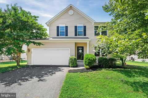 221 CLIMBING VINE AVENUE, SMYRNA, DE 19977