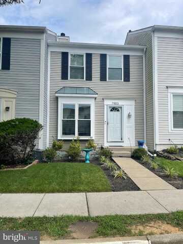 7903 OLD CARRIAGE TRAIL, ALEXANDRIA, VA 22315