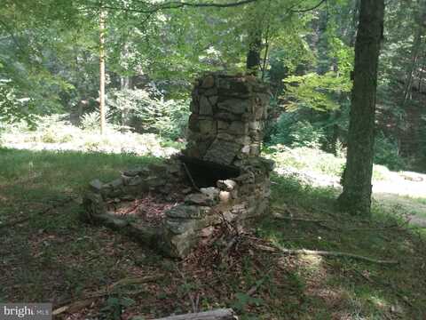 578 ROUSE MOUNTAIN ROAD, GREAT CACAPON, WV 25422