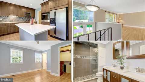 8121 MARCY AVENUE, SPRINGFIELD, VA 22152