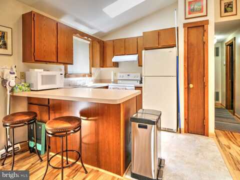 141 MALLARD DRIVE, BASYE, VA 22810