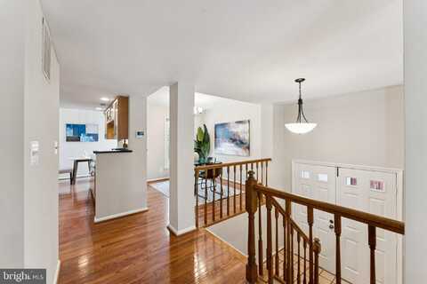 2917 D S WOODSTOCK ST 4, ARLINGTON, VA 22206