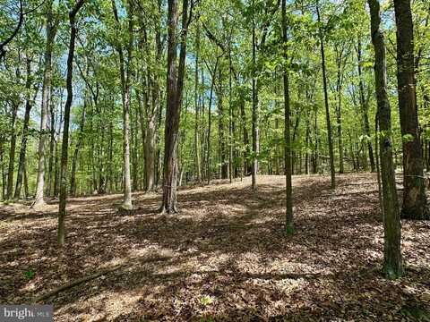 125 ENDER DRIVE, MOOREFIELD, WV 26836