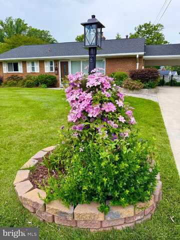 5413 IVES PLACE, SPRINGFIELD, VA 22151