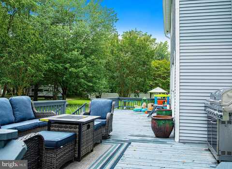 203 BARREN RIDGE ROAD, CHESTER, MD 21619