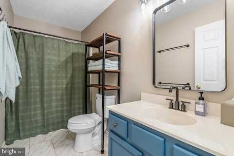 36 PICARD, BASYE, VA 22810