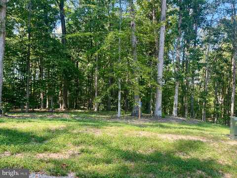 Lot 39 SOUTHERN RIDGE, MINERAL, VA 23117
