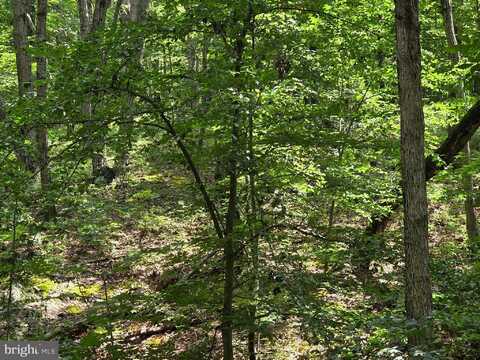 HILLANDALE RD LOT 31, FRONT ROYAL, VA 22630