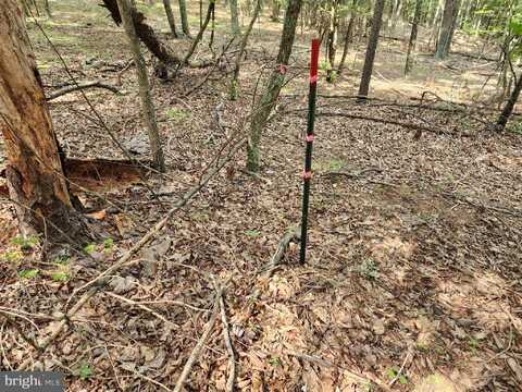 6.47 ACRES BURD LANE, AUGUSTA, WV 26704