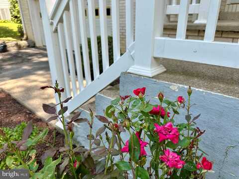 119 CHERRY RIDGE ROAD, STATE COLLEGE, PA 16803