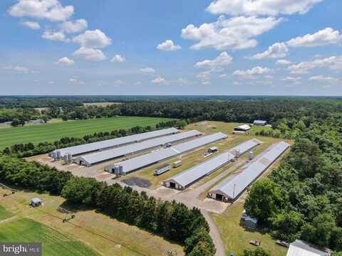 33950 EVANS ROAD, LAUREL, DE 19956