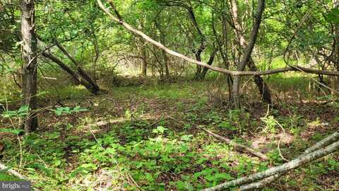 10028 N SCHOOL ROAD, DEAL ISLAND, MD 21821