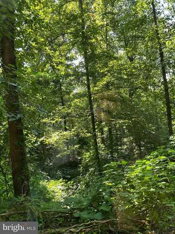 YEW TRAIL, CROWNSVILLE, MD 21032
