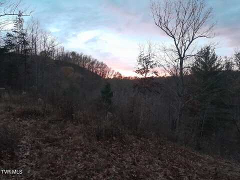 253 Honey Dew Lane, Watauga, TN 37694