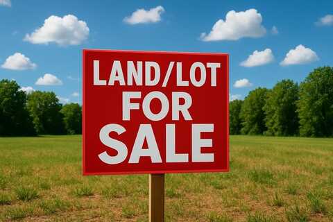 Tract 20 River Road, Lakeland, GA 31635