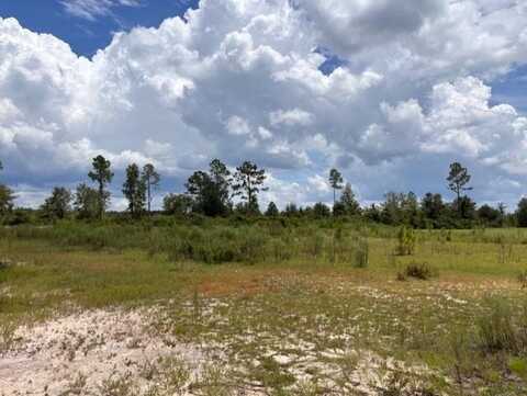 Tract 20 River Road, Lakeland, GA 31635