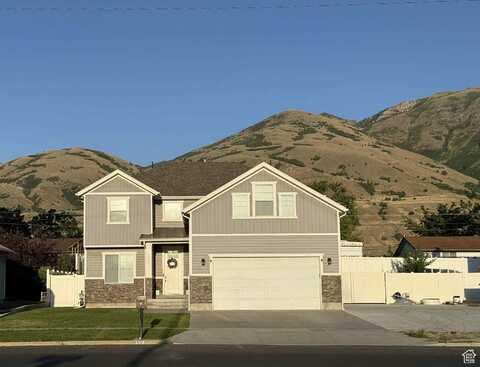 955 MEDICAL, Brigham City, UT 84302