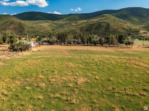 1581 E LITTLE SWEDEN, Daniel, UT 84032