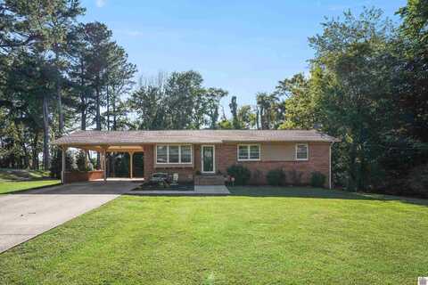 115 Lake Dr, Mayfield, KY 42066