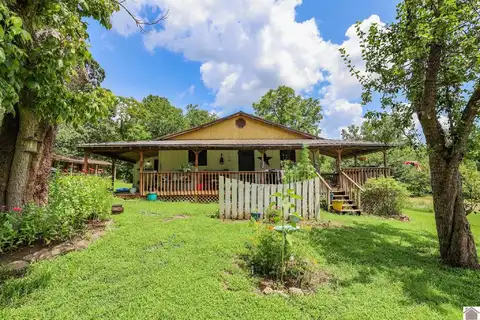 226 Reid Lane, Symsonia, KY 42082
