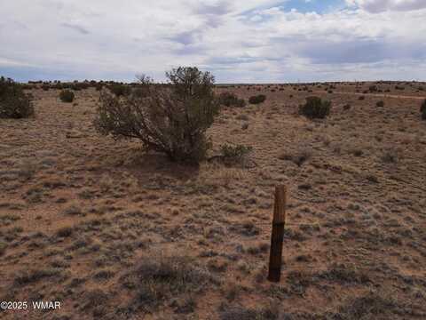 5489 White Antelope Road, Snowflake, AZ 85937