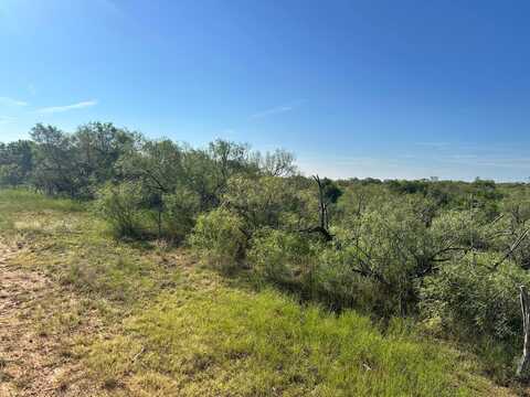 161.75 Acres Motley Co, Matador, TX 79256