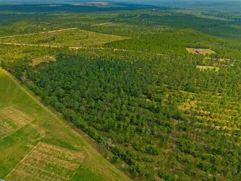 12 AC Liberty Road, Mauk, GA 31058