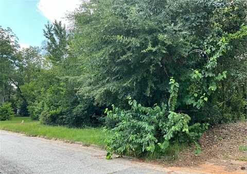 1217 Roosevelt Avenue, Albany, GA 31705