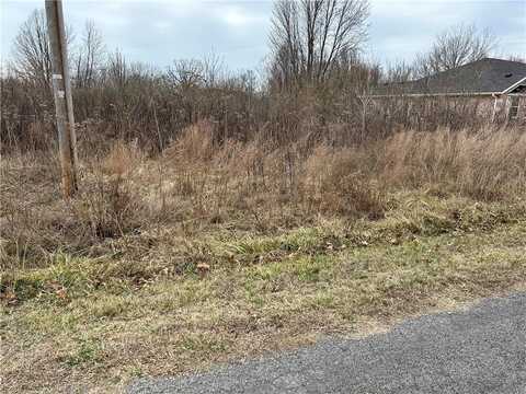 Dunipace DR, Bella Vista, AR 72715