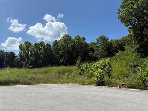 387 & 397 Hidden Creek PL, West Fork, AR 72774