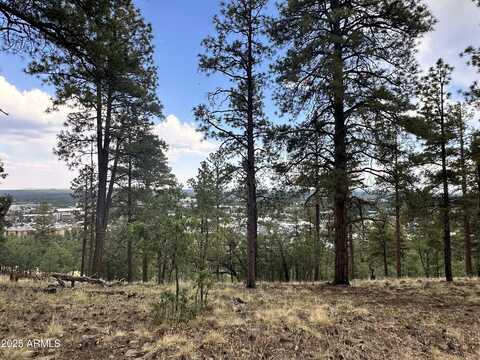 1548 W LOWER COCONINO Avenue, Flagstaff, AZ 86001