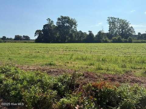 0 Near 302 Miller Street, Chadbourn, NC 28431