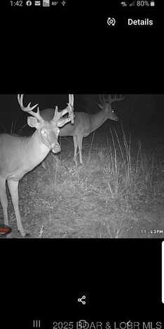 Big Rock Road, Barnett, MO 65011